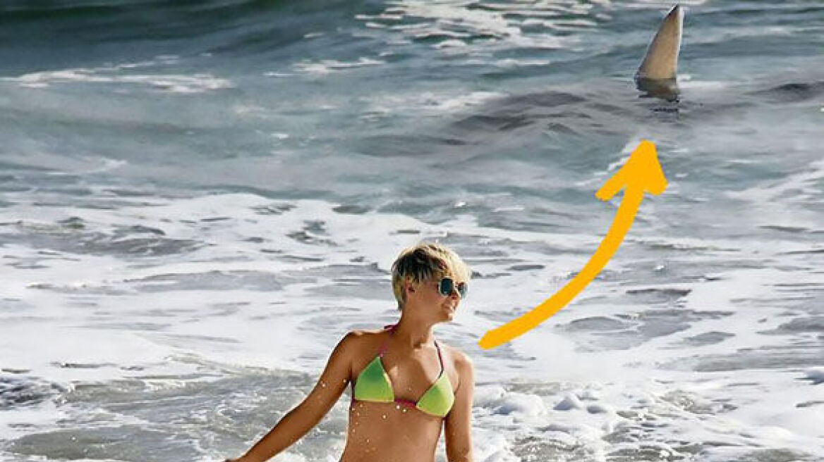 Φλόριντα: Μοντέλο δέχεται «επίσκεψη» από καρχαρία ενώ φωτογραφίζεται στη θάλασσα